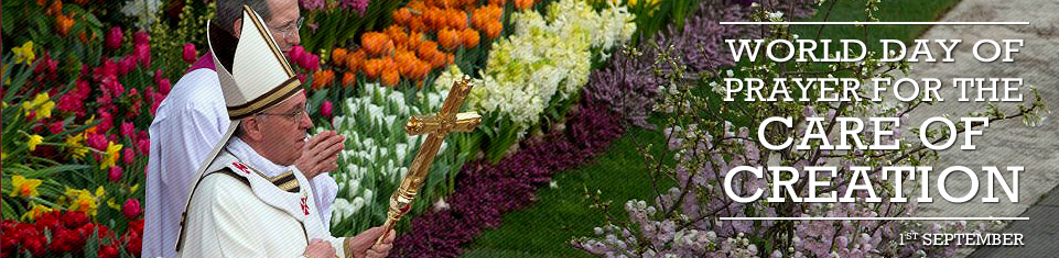 Prayer for Care of Creation