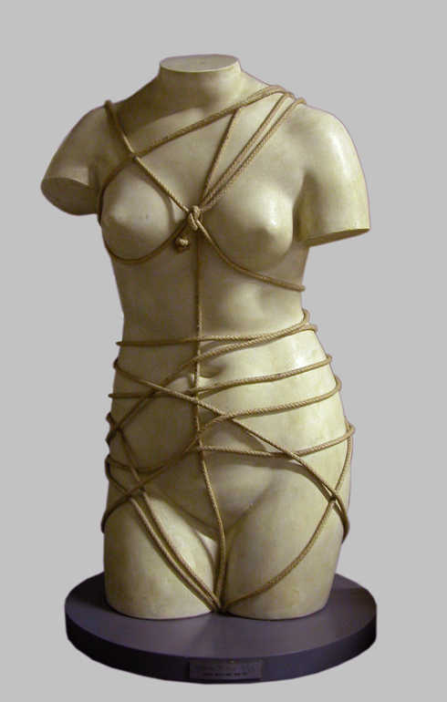 Venus Restored